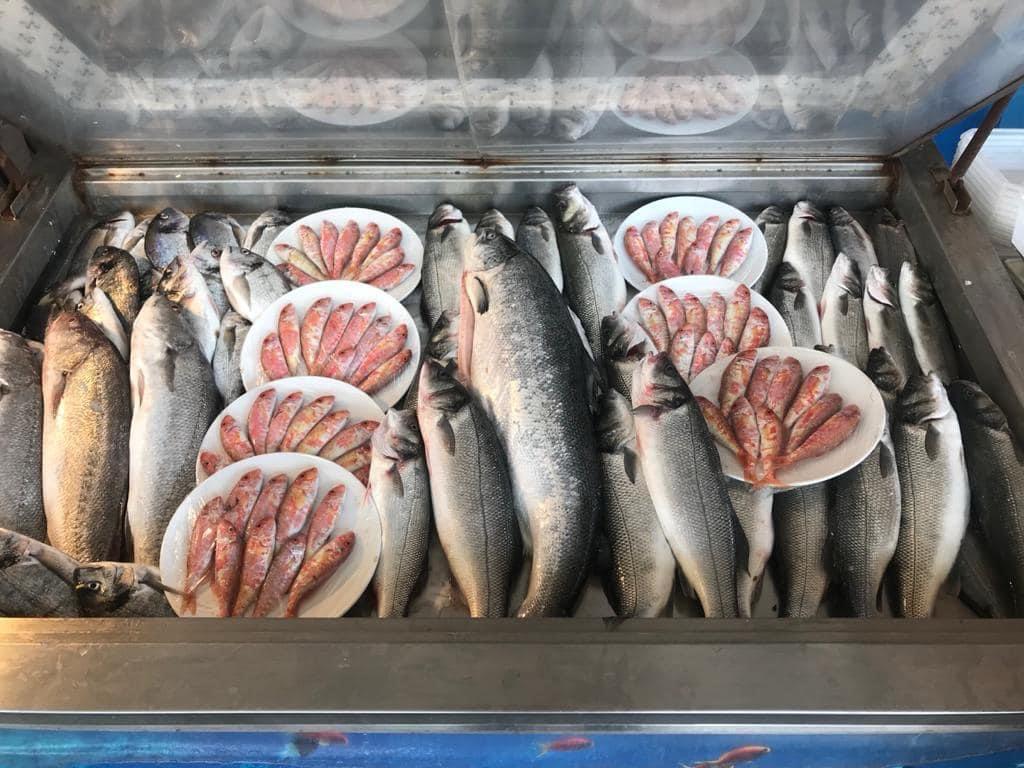 Denizkizi pansiyon iskele